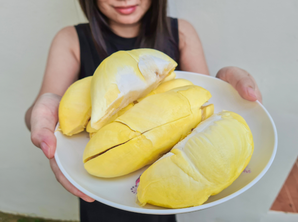 榴槤禁忌︱食榴槤食到入醫院？女子連食3晚榴槤致肛周膿腫 醫生拆解致命元凶  附4大高危人士/5種相剋食物