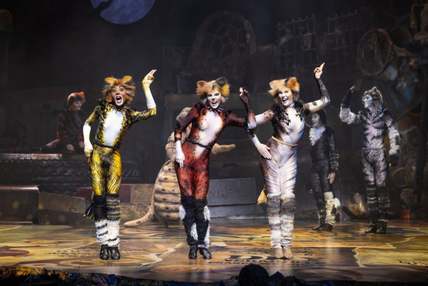 原版音樂劇《貓》CATS 登陸香港!加開至9月13日 門票$388起/場地座位表/購票連結