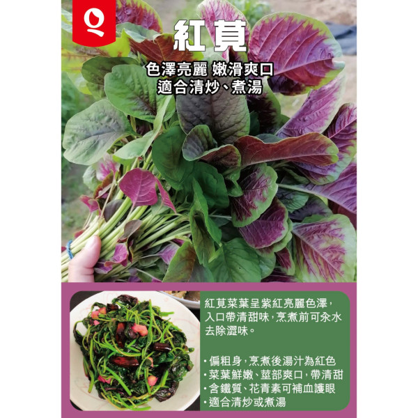 連鎖超市快閃免費派蔬菜！無門檻/附派發時間及指定分店