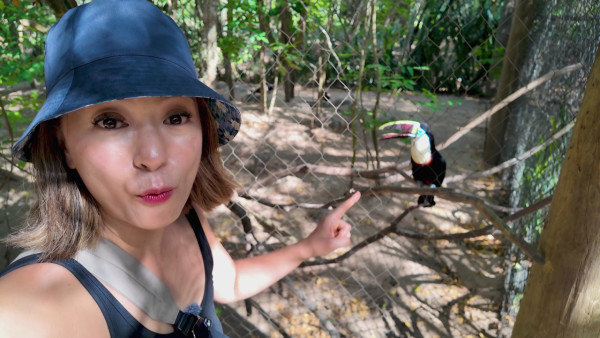 南美潮什麼2｜梁芷珮深入加勒比海坐海盜船睇日落 靚景配海風浪漫指數爆燈：好靚呀！