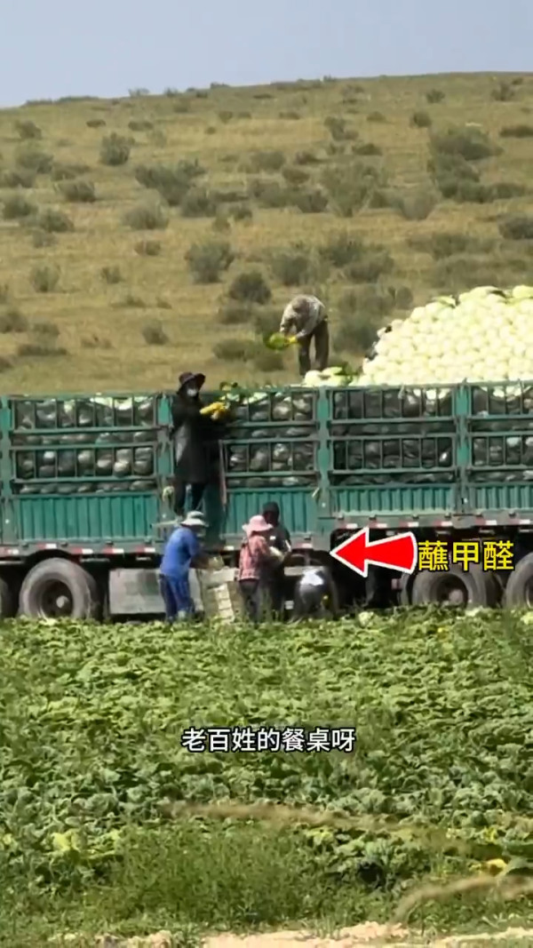 內地爆「甲醛白菜」恐波及港人常吃韓國泡菜？ 韓國餐廳：短期內難停用中國白菜 附3招自保步驟 