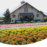 farm-tomita.co.jp farm-tomita.co.jp