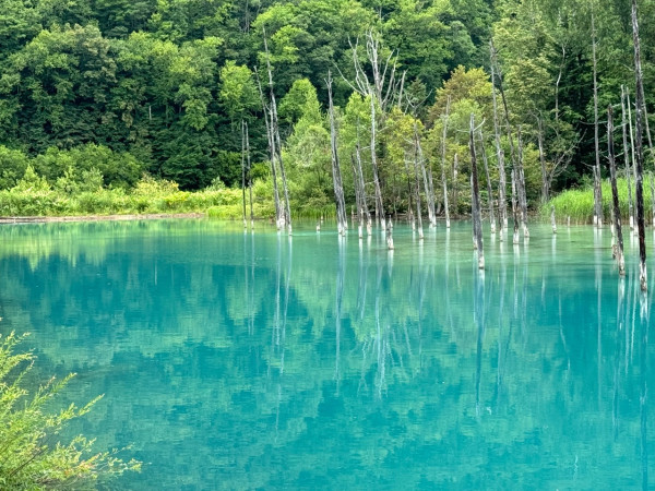 biei-hokkaido.jp biei-hokkaido.jp
