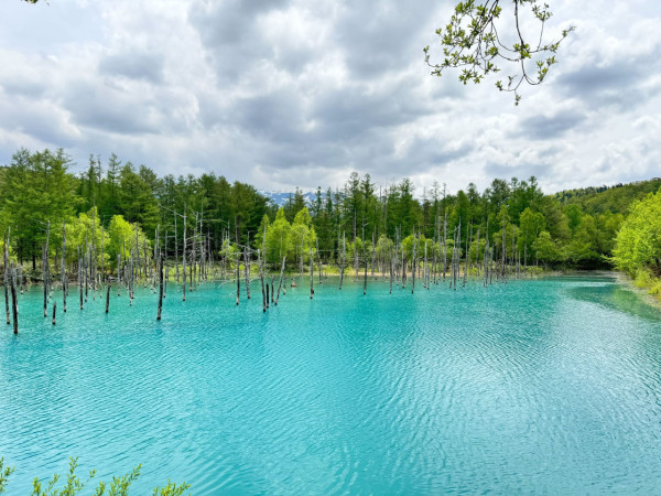 biei-hokkaido.jp biei-hokkaido.jp