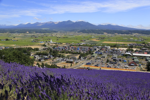 town.nakafurano.lg.jp town.nakafurano.lg.jp