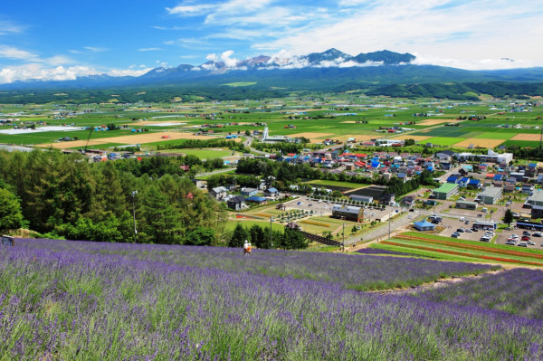 北海道官方旅遊網站 北海道官方旅遊網站