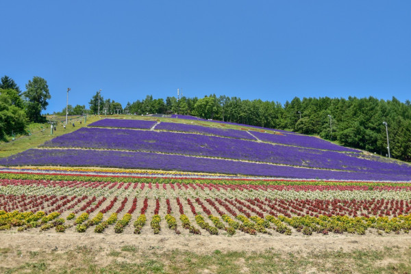 北海道官方旅遊網站 北海道官方旅遊網站