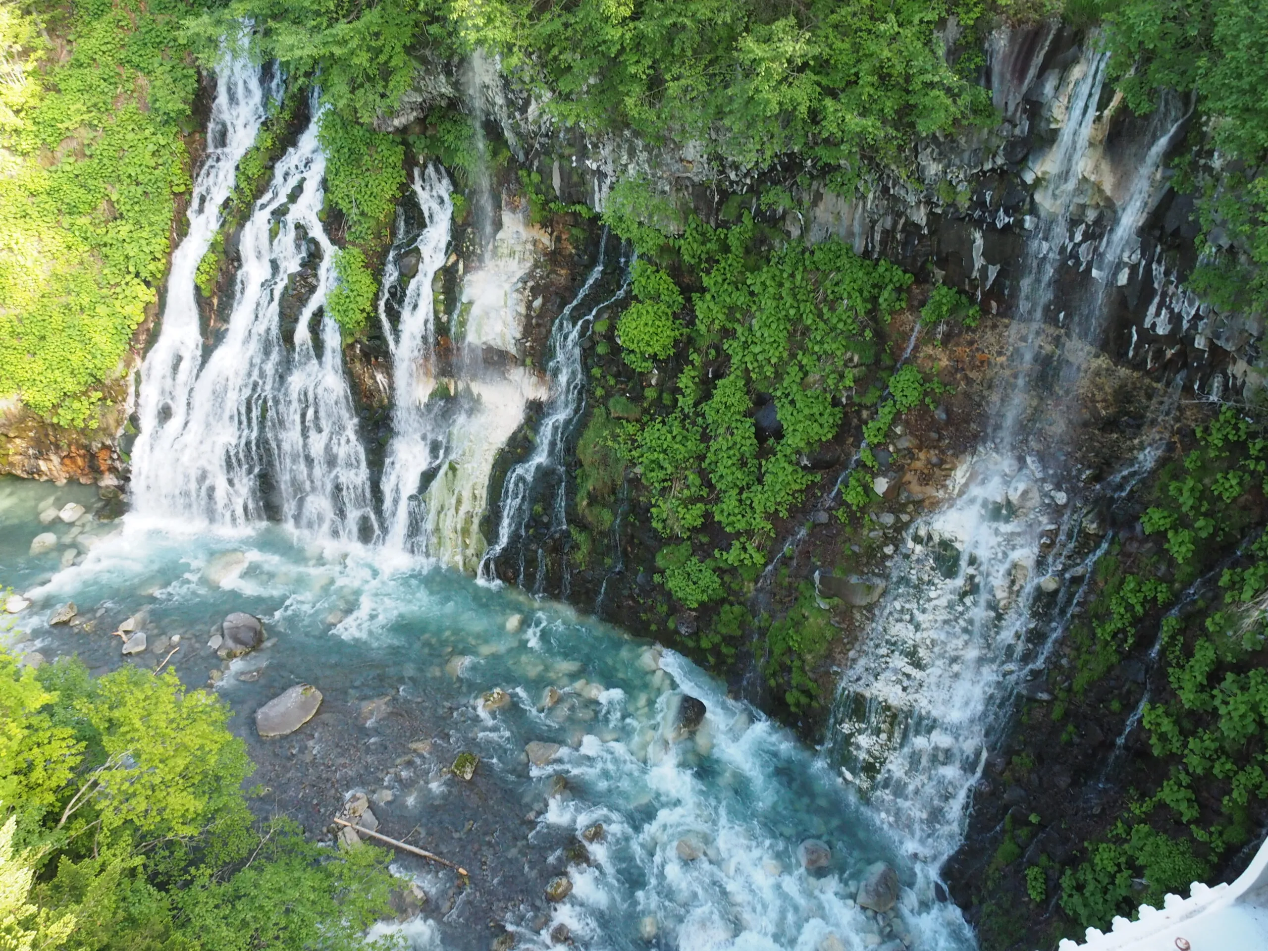 北海道官方旅遊網站 北海道官方旅遊網站