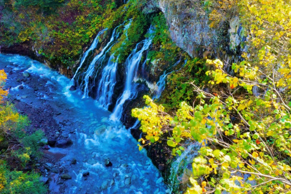 北海道官方旅遊網站 北海道官方旅遊網站