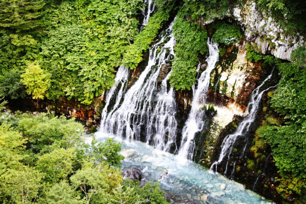 北海道官方旅遊網站 北海道官方旅遊網站
