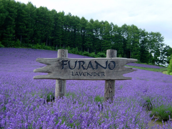 北海道官方旅遊網站 北海道官方旅遊網站