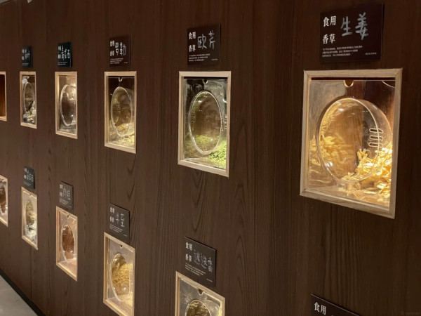 深圳福田必去文創新街區免費入場！麥麥島旗艦店/寵物友好/特色馬黛茶 