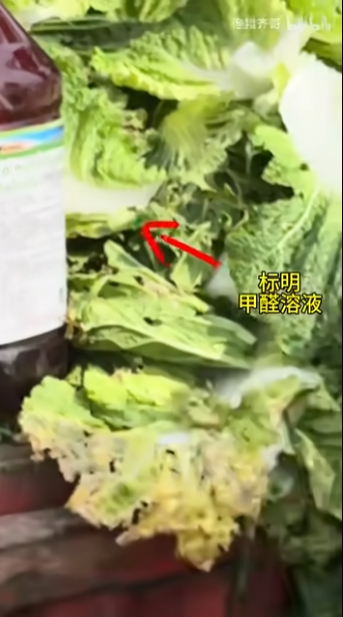 內地甲醛白菜｜浸泡+沖水洗菜能否去甲醛？營養師拆解：泡不出來的 揭唯一辨別方法