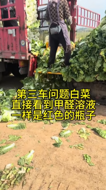 內地甲醛白菜｜浸泡+沖水洗菜能否去甲醛？營養師拆解：泡不出來的 揭唯一辨別方法