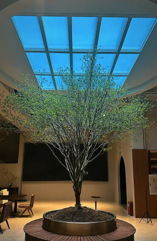 深圳南山咖啡博物館cafe附地址交通！跨越千年咖啡文化、復古器具展示打卡必去 