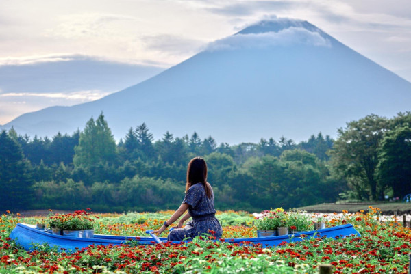 日本山梨縣秋季限定彩虹花祭2026！8萬株繽紛花海盛開/必影小舟與幸福之門 