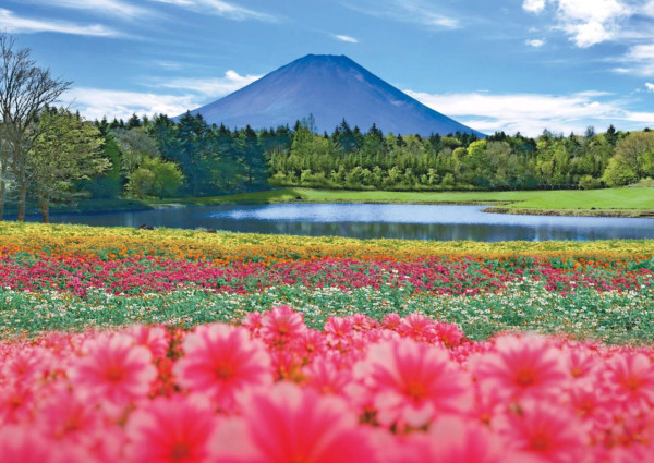 日本山梨縣秋季限定彩虹花祭2026！8萬株繽紛花海盛開/必影小舟與幸福之門 