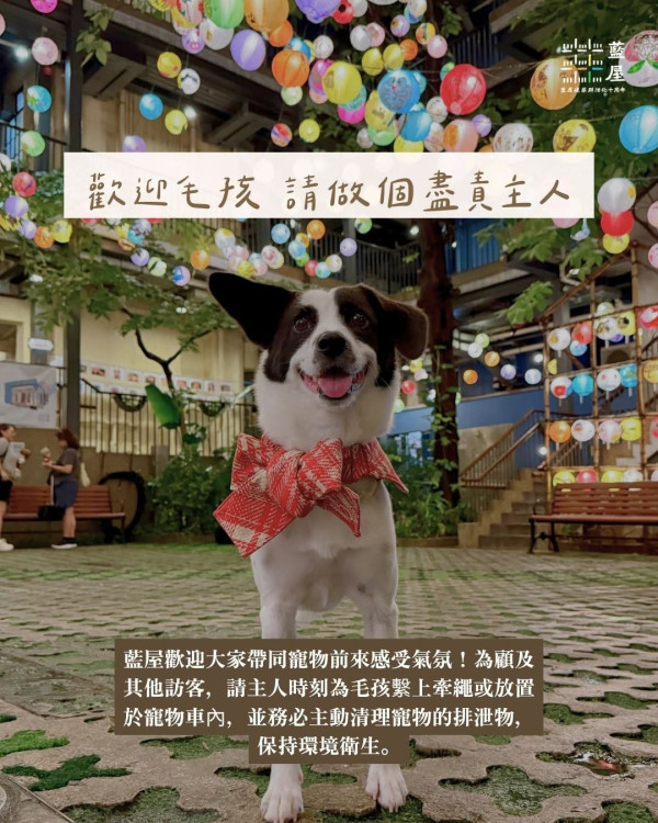 灣仔藍屋花燈節亮燈700+手繪燈海打卡（圖片來源︰FB@We 嘩藍屋 Viva Blue House）