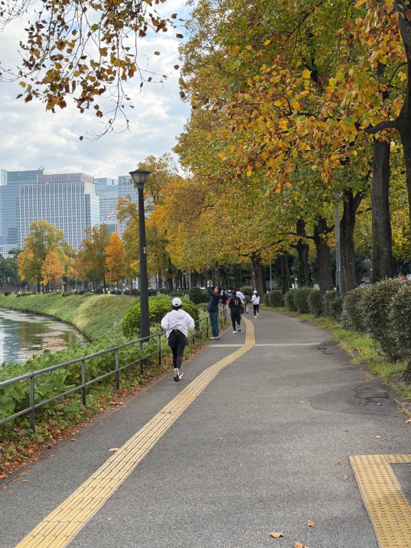 東京皇居跑步違規亂象頻生！網民熱議應否全面禁止 居民無奈訴苦：行路經常被喝罵推撞 