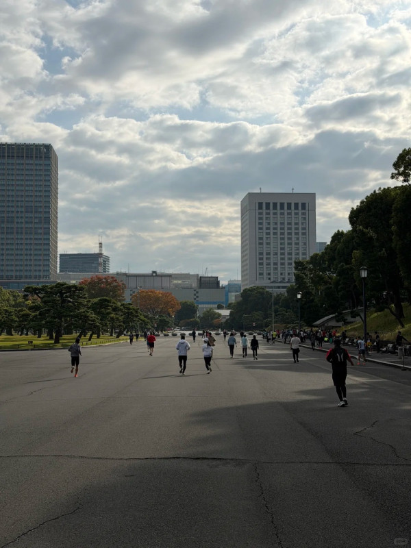 東京皇居跑步違規亂象頻生！網民熱議應否全面禁止 居民無奈訴苦：行路經常被喝罵推撞 