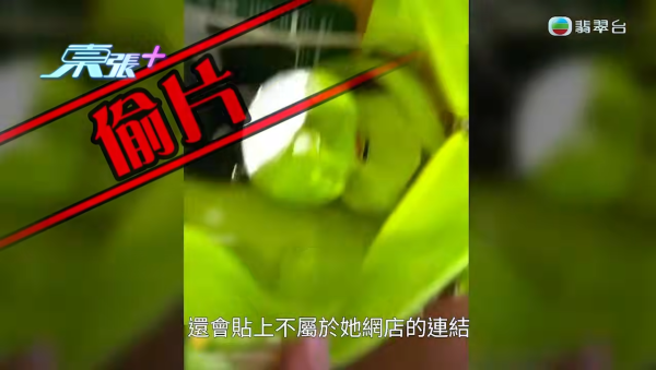 前TVB女艺人遭冒名诈骗卖假货！亲自上东张揭发骗徒贱招 猖狂网骗骗钱骗感情