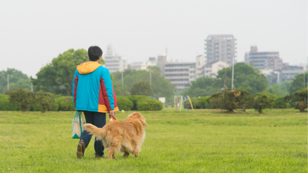 圖片來源：Canva