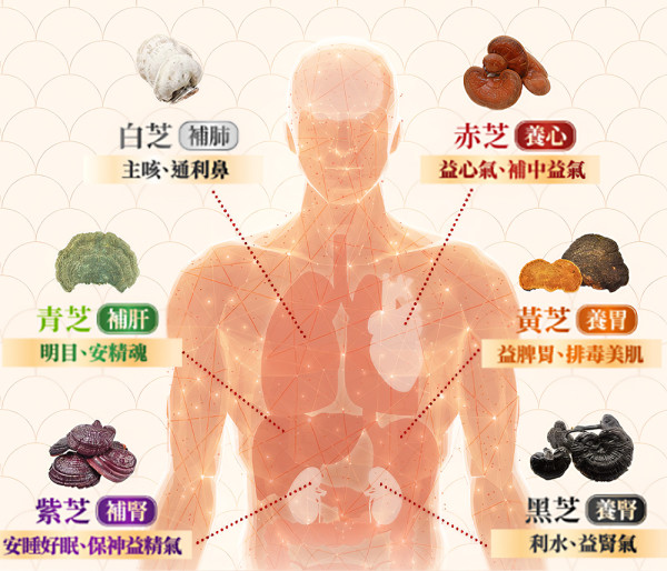 【睡眠質素】瞓足8小時依然好攰?3分鐘自測「無效睡眠」!教你1招瞓得好精神好、抗疲勞