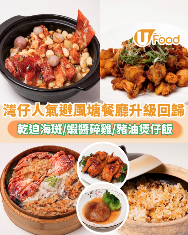 灣仔人氣避風塘海鮮餐廳升級回歸！砂鍋乾迫海斑/大澳蝦醬炸碎雞/自製豬油煲仔飯