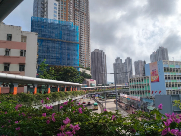 荃灣獲封SSR神區！居民狂讚5大生活配套：落雨唔使擔遮 惟1缺點成搬離主因