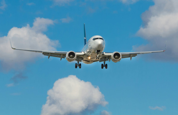 旅遊冷知識｜搭飛機經常聽到「叮」一聲？拆解機艙神秘「叮噹聲」背後含意 