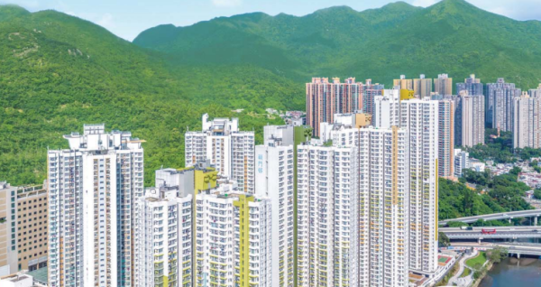 公屋收樓派300呎新樓！用錯1詞慘被質疑新香港人？樓主霸氣反擊：交稅30年