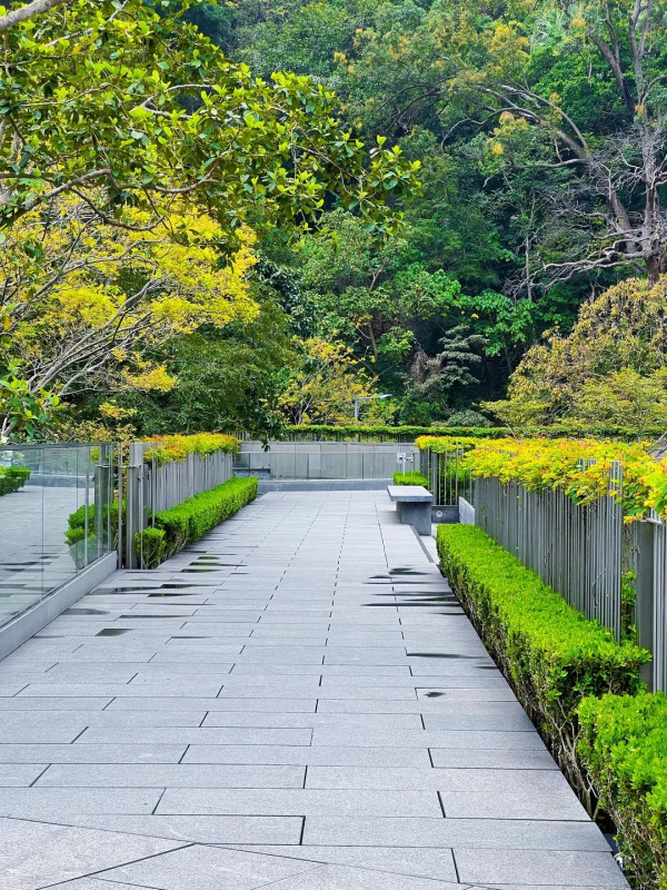 金鐘好去處｜150年軍火庫變身森林秘境！免費開放參觀 附4大打卡位攻略