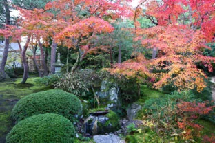 adachi-museum.or.jp adachi-museum.or.jp
