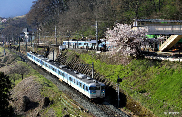 tsukino-miyako.jp tsukino-miyako.jp