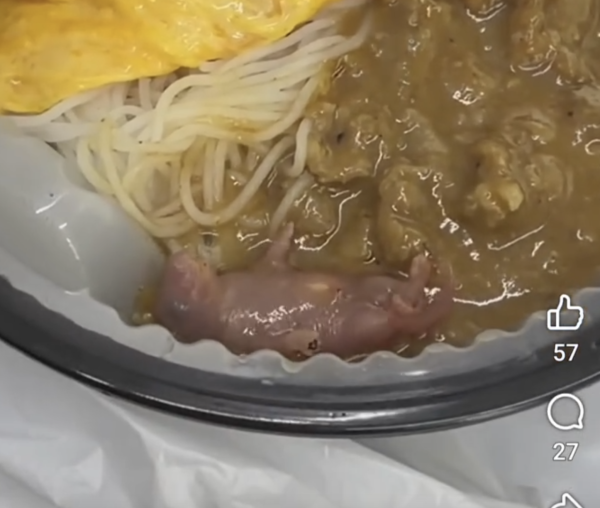 葵涌華姐冰室爆沙嗲米粉附初生老鼠BB！活生生浸在醬汁4肢擺動／食環署上門處理