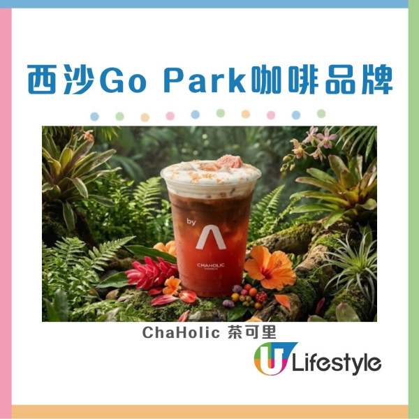荃灣廣場×西沙GO PARK咖啡露營祭 75+品牌進駐/無酒精黃昏派對/4大咖啡大賽