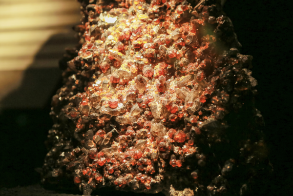 圖片來源:深圳珠寶博物館官網(www.jewelrymuseumsz.com) 深圳羅湖首間珠寶主題博物館免費入場!近距離睇金雕螞蟻聚寶盆+天然寶石礦標