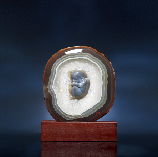 圖片來源:深圳珠寶博物館官網(www.jewelrymuseumsz.com) 深圳羅湖首間珠寶主題博物館免費入場!近距離睇金雕螞蟻聚寶盆+天然寶石礦標