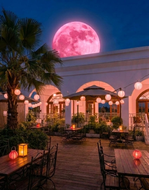 Lake House 湖畔月光庆典“Moonlight Dreamers”（图片来源︰IG@lakehouse.hk）