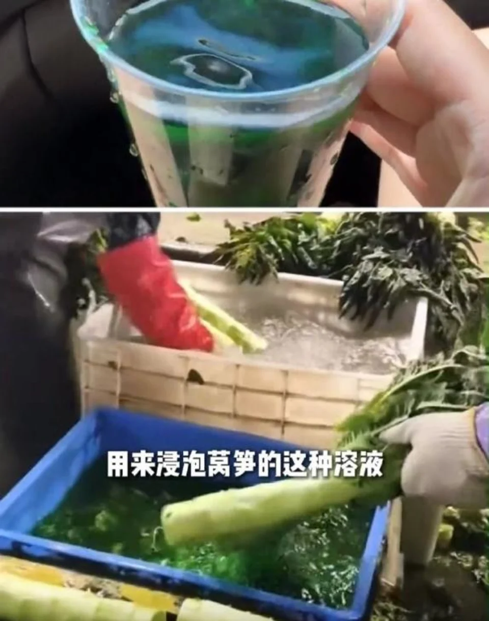內地揭發6家蔬菜商違規用「果綠」為萵筍「美顏」 當局銷毀近12噸涉案蔬菜兼立案查處