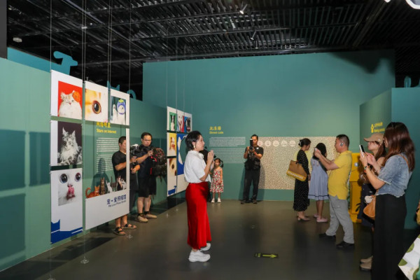 圖片來源:微信公眾號@深圳博物館 深圳博物館萌寵展帶你走進毛孩世界!80件貓狗主題文物展品+20多項趣味互動體驗