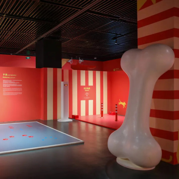 圖片來源:微信公眾號@深圳博物館 深圳博物館萌寵展帶你走進毛孩世界!80件貓狗主題文物展品+20多項趣味互動體驗