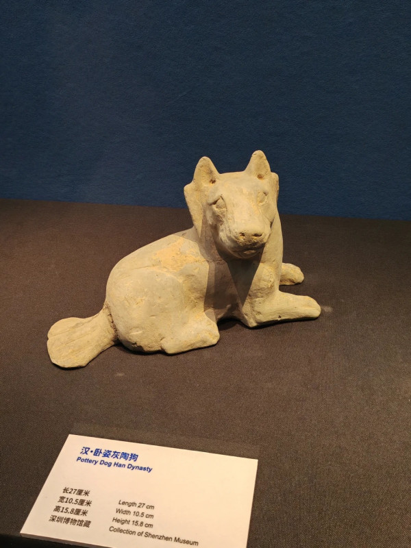 圖片來源:小紅書@南木漫游记 深圳博物館萌寵展帶你走進毛孩世界!80件貓狗主題文物展品+20多項趣味互動體驗