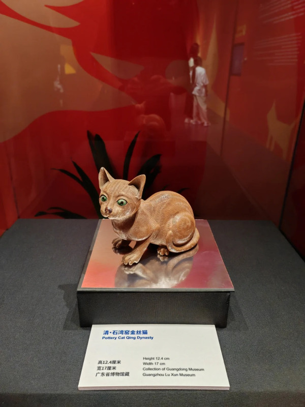圖片來源:小紅書@南木漫游记 深圳博物館萌寵展帶你走進毛孩世界!80件貓狗主題文物展品+20多項趣味互動體驗
