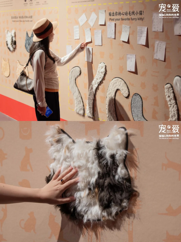 圖片來源:小紅書@美好盐田 深圳博物館萌寵展帶你走進毛孩世界!80件貓狗主題文物展品+20多項趣味互動體驗