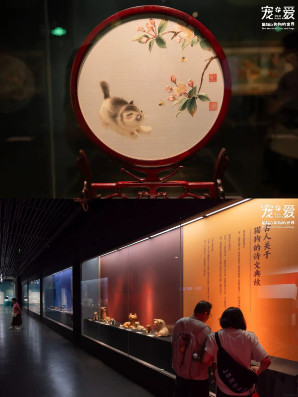圖片來源:小紅書@美好盐田 深圳博物館萌寵展帶你走進毛孩世界!80件貓狗主題文物展品+20多項趣味互動體驗