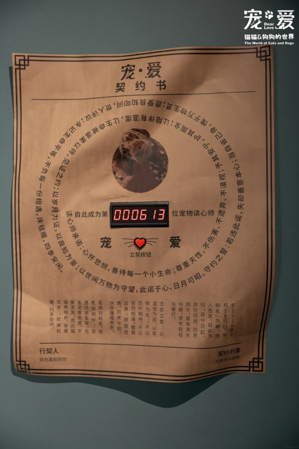 圖片來源:小紅書@美好盐田 深圳博物館萌寵展帶你走進毛孩世界!80件貓狗主題文物展品+20多項趣味互動體驗