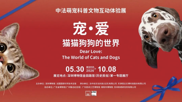 深圳博物館萌寵展帶你走進毛孩世界!80件貓狗主題文物展品+20多項趣味互動體驗