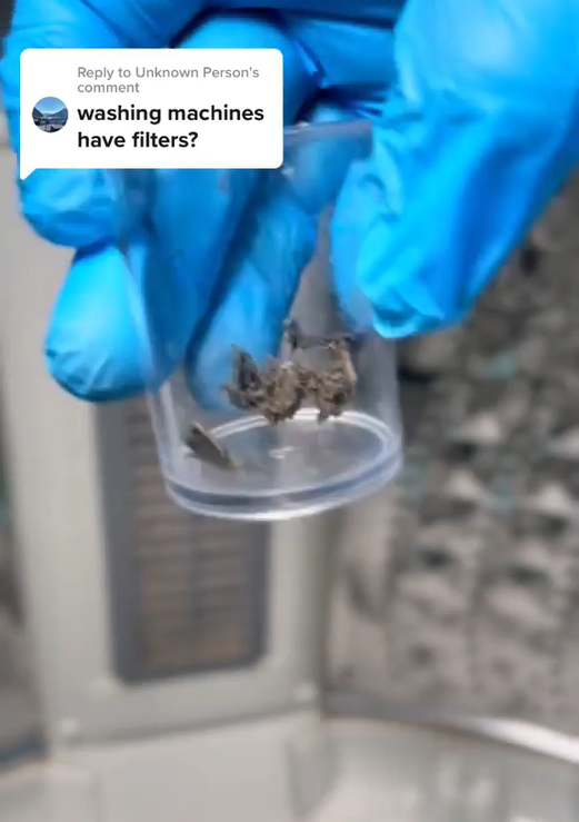 洗衣機含菌量高馬桶530倍！專家警告洗完即做1事恐惹寄生蟲：必睇1招零成本防菌