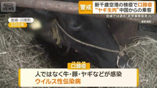 圖片來源：ANN NEWS
